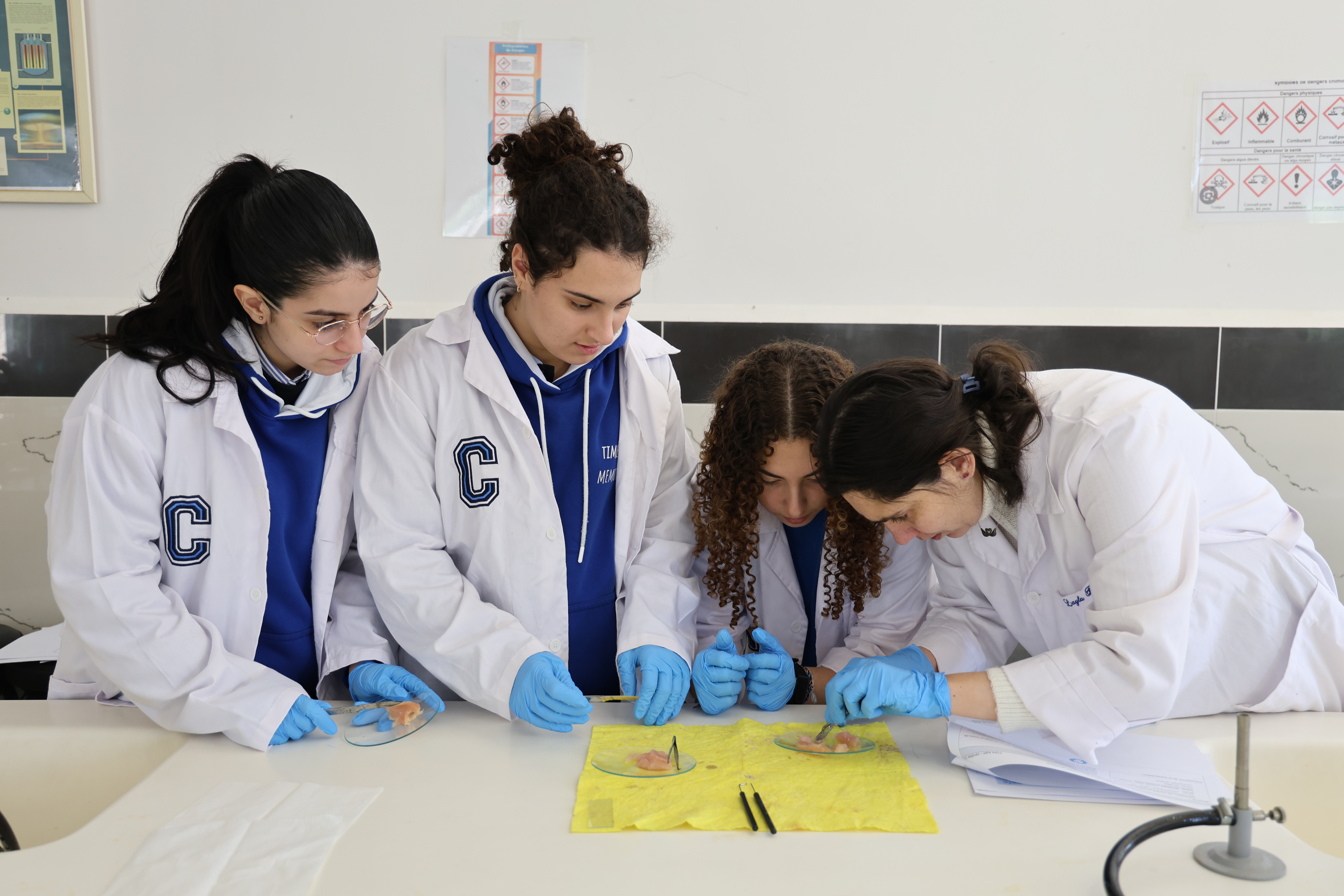 Scientific Laboratory